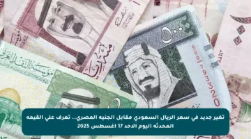 تغير جديد في سعر الريال السعودي مقابل الجنيه المصري.. تعرف على القيمة المحدثة اليوم الأحد 17 أغسطس 2025